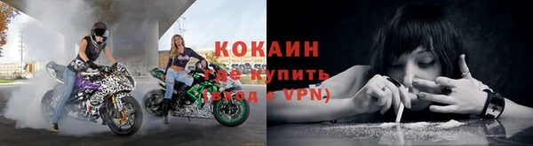 стафф Михайловск