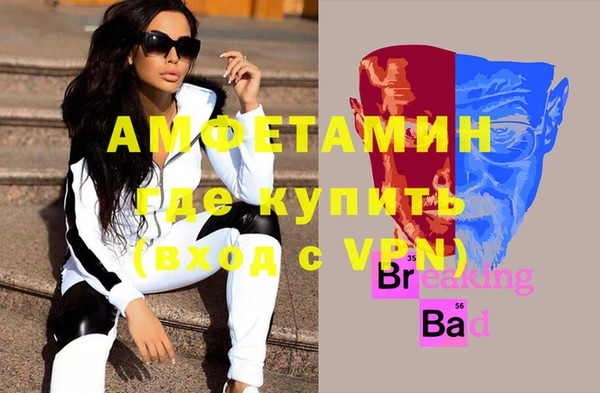 стафф Михайловск