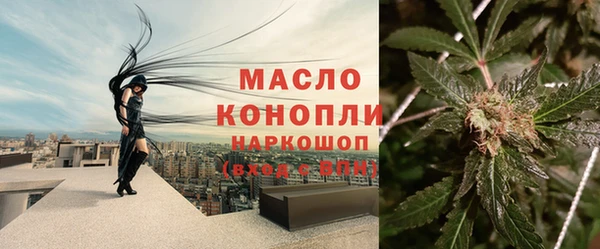 стафф Михайловск