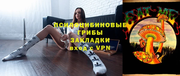 стафф Михайловск