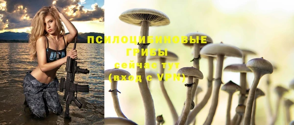 стафф Михайловск