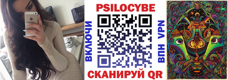blacksprut онион  Кострома  Псилоцибиновые грибы GOLDEN TEACHER 