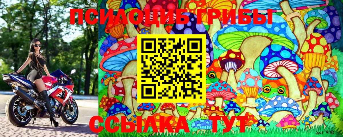 Галлюциногенные грибы Cubensis Кострома